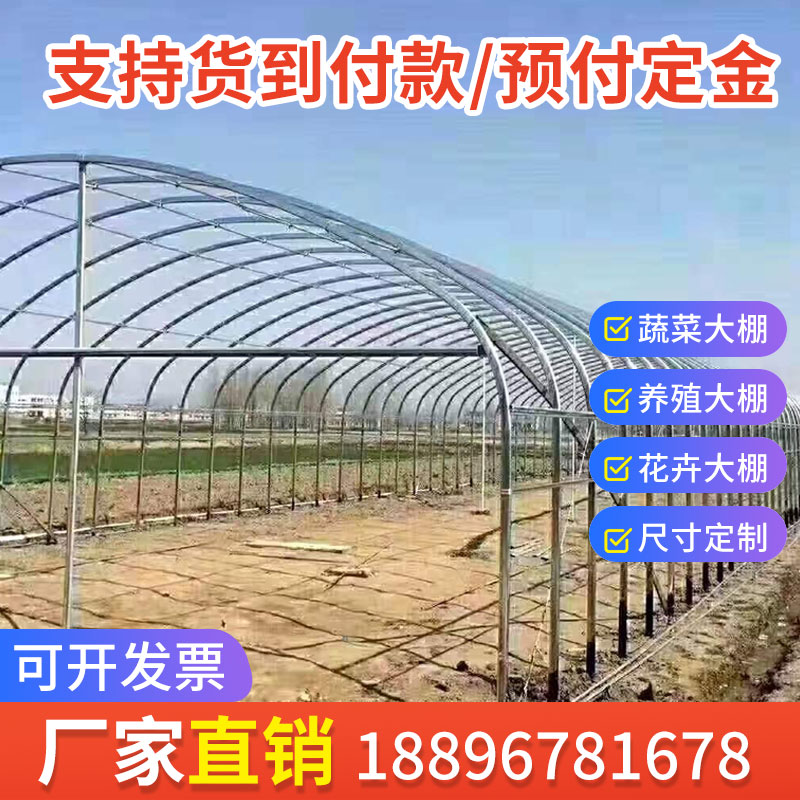 大棚骨架钢管全套温室养殖种植蔬菜花卉棚农业连体连栋椭圆管定制