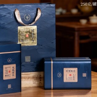 潮州礼盒雪片鸭屎香乌岽东思