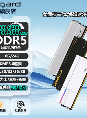 阿斯加特女武神/海姆达尔/海拉DDR5台式机内存条16G/24G 6000单条