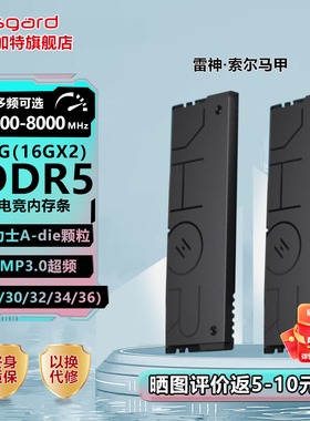 阿斯加特雷神索尔 32g(16gx2) DDR5 6000 6400 6800台式机内存条