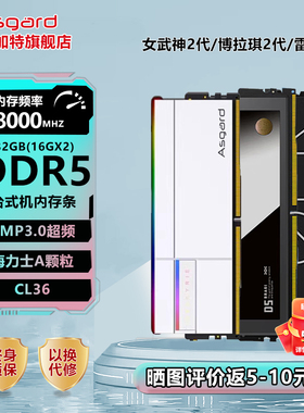 阿斯加特女武神二代 32g(16gx2) ddr5 8000台式机内存条海力士A