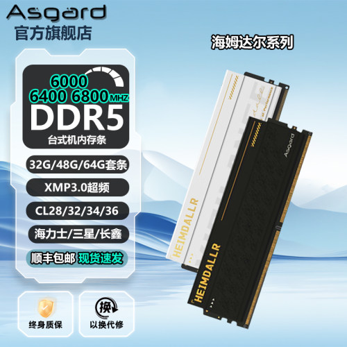 阿斯加特海姆达尔ddr5电脑内存条