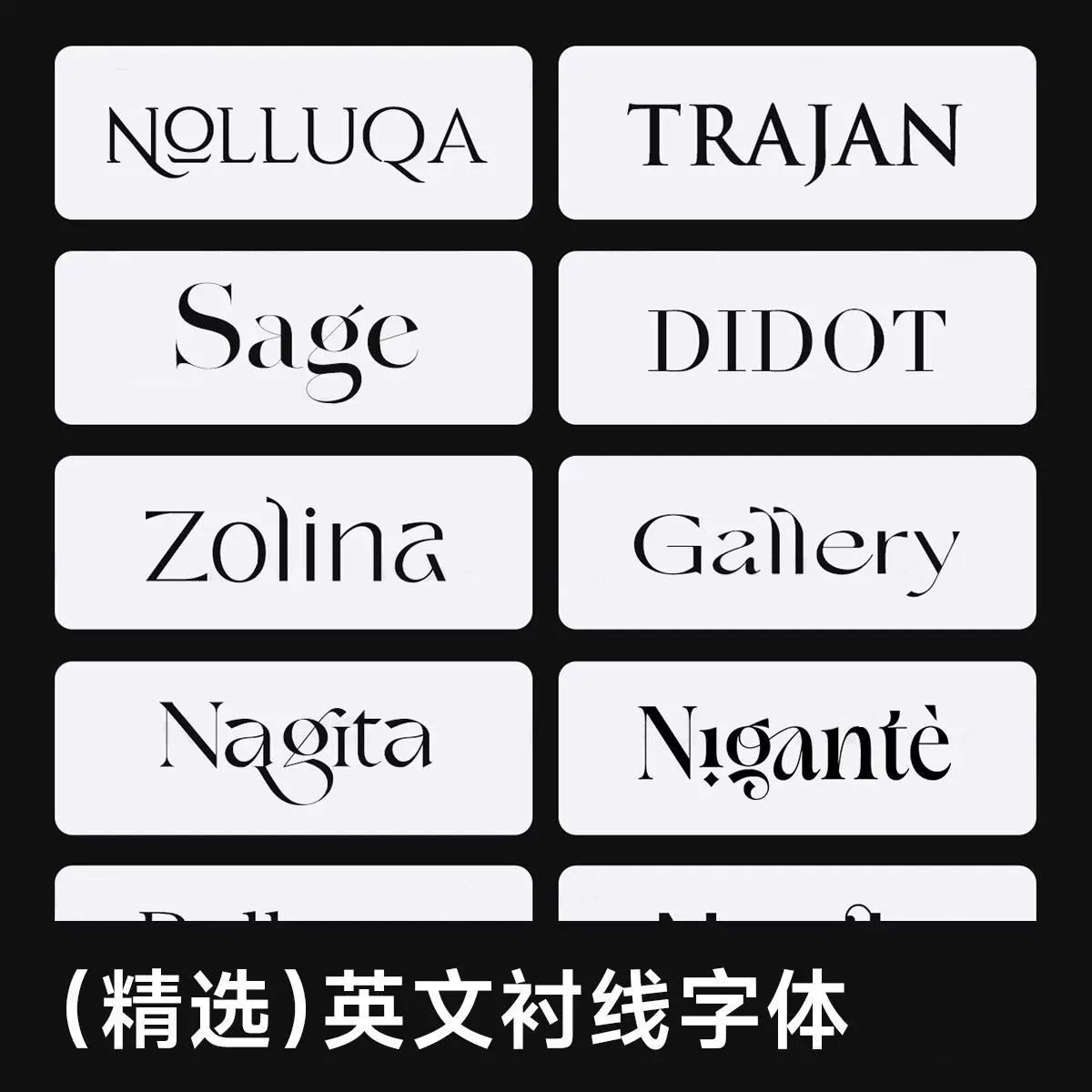 12款精选英文衬线字体包 高级感字体素材Mac/Win/PS/AI/AE/Pr