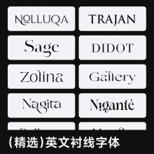 12款精选英文衬线字体包 高级感字体素材Mac/Win/PS/AI/AE/Pr