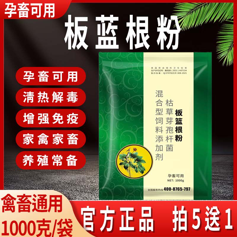 兽用板蓝根粉散末猪牛羊用中药鸡鸭畜禽风寒清热抗病毒饲料添加剂
