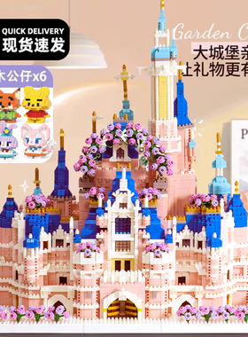 2025新款迪士城堡尼女孩子拼装积木拼图公主益智玩具女生儿童礼物