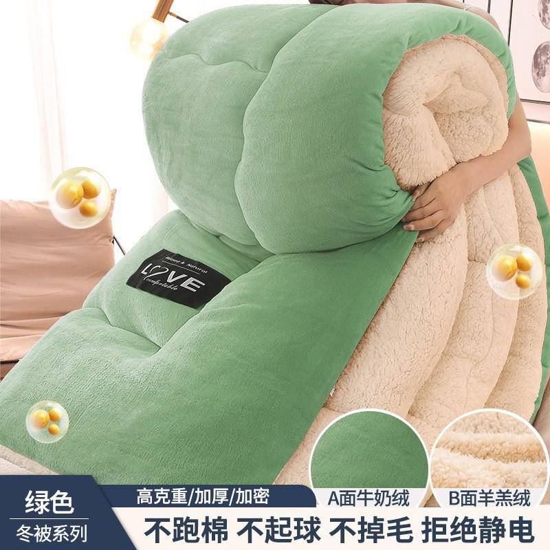 Winter Warm Lamb Wool Comforter Thermal Thickened Quilt Core