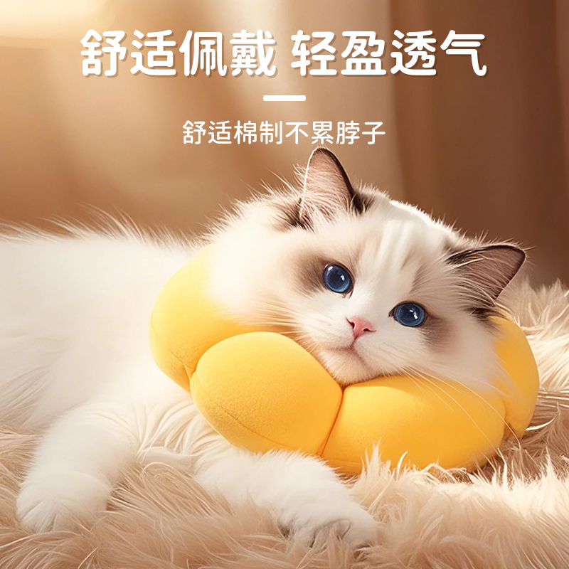 伊丽莎白圈猫绝育项圈防咬防舔