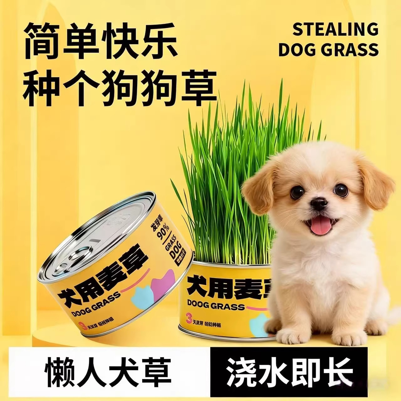 狗狗专用草大麦犬草消化宠物化毛排毛零食用品棒懒人无土方便培育,宠物/宠物食品及用品,狗零食罐,淘宝优惠券,粉丝福利购,淘宝优惠卷