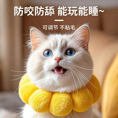 伊丽莎白圈猫绝育项圈防咬防舔