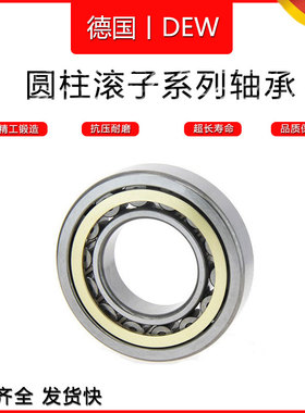 德国DEW进口圆柱滚子轴承NU203 NU204 NU205 NU206 NU207 NU208EM