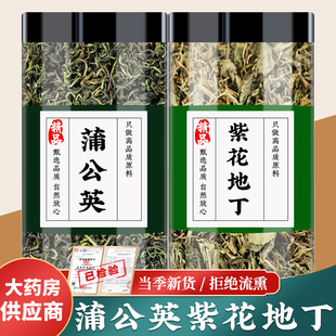 蒲公英紫花地丁茶中药材婆婆丁浦公英干草犁头草泡水泡茶新鲜正品