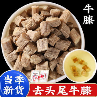 【精选中段】牛膝中药材正品的功效牛夕牛七牛漆泡水巴戟天红茶