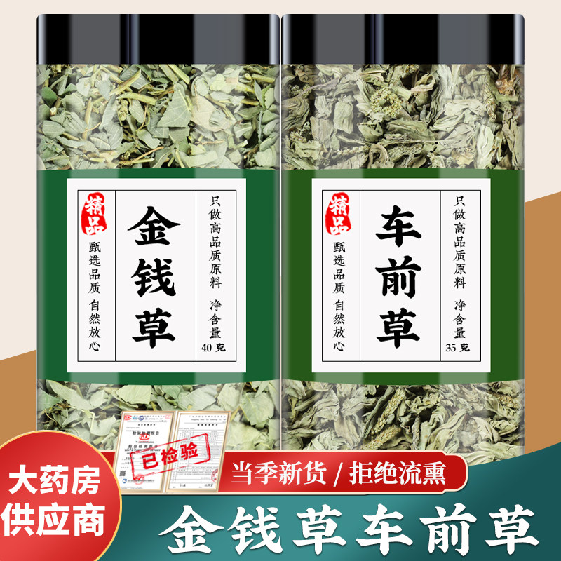 金钱草车前草茶中药材海金沙菊花枸杞胎菊中草药泡水的功效与作用