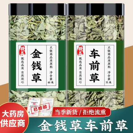 金钱草车前草茶中药材海金沙菊花枸杞胎菊中草药泡水的功效与作用