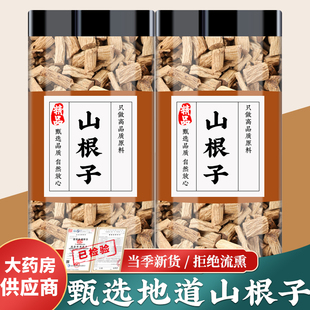 山根子银柴胡中药材正品新鲜干货十粒银胡根山菜根牛肚根土参泡茶