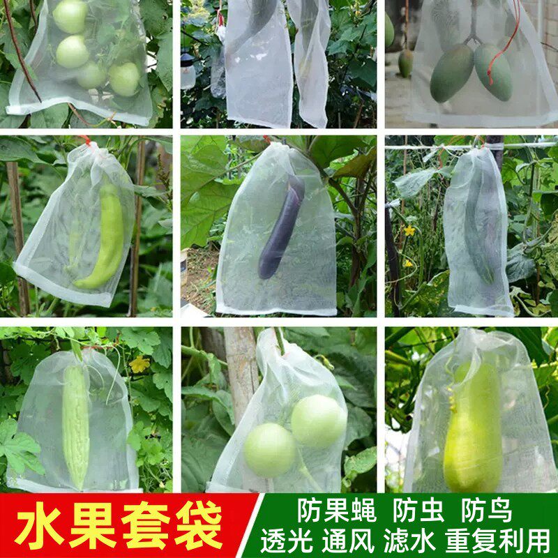 水果防鸟袋网套枇杷透气火龙果袋子瓜果石榴樱桃百香果蓝莓草莓