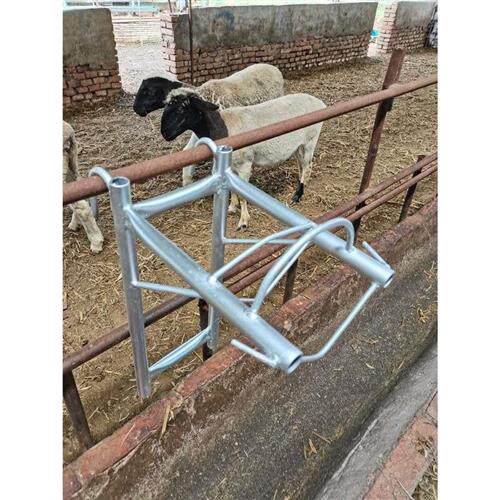 剪羊毛输液架羊输液架用配种兽用羊头架羊头器给羊打针的架子