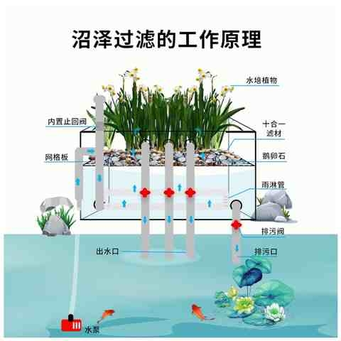 鱼缸过滤自制沼泽过滤鱼池乌龟沼泽系鱼菜共生统周转箱沼泽箱盒器