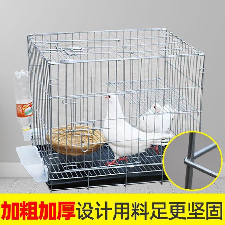 斑鸠笼珠颈斑鸠笼野鸽子笼传统竹鸡笼媒笼养笼包括配件网罩