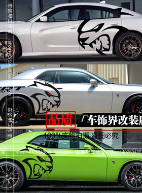 适用于野马gt车身个性地狱猫车贴