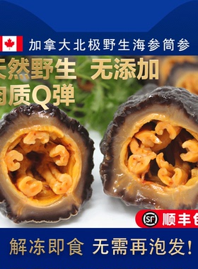 加拿大北极海生ARCTICA FOOD进口深海参冷冻海鲜即食海参500g