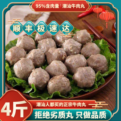 顺丰4斤潮汕牛肉牛筋丸爆汁正宗潮汕特产牛肉火锅丸子烧烤串食材3