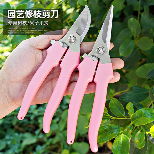 迷你便携修枝摘果剪刀