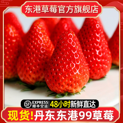 丹东东港99草莓3斤新鲜奶油新包装