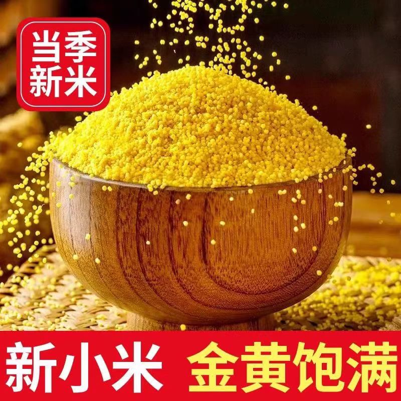 旱地 山地新2025【石磨小米】农家小米   （水开后下锅小米）