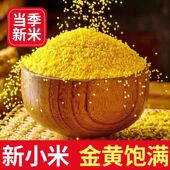 山地新2025 石磨小米 农家小米 旱地 水开后下锅小米