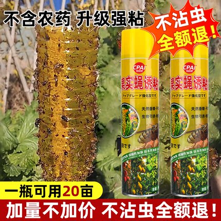 瓜果实蝇诱粘剂果蝇诱捕器果园菜园大棚杀虫剂神器灭针蜂药引诱剂