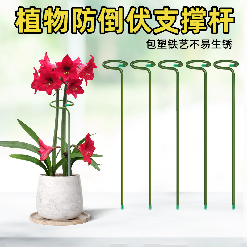 朱顶红植物龟背竹支撑杆花架花卉园艺防倒扶支架插花固定神器支架