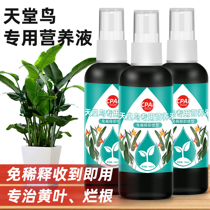天堂鸟营养液绿植通用高效预防黄叶黄斑卷边免稀释肥料专用营养液,鲜花速递/花卉仿真/绿植园艺,家庭园艺肥料,淘宝优惠券,粉丝福利购,淘宝优惠卷