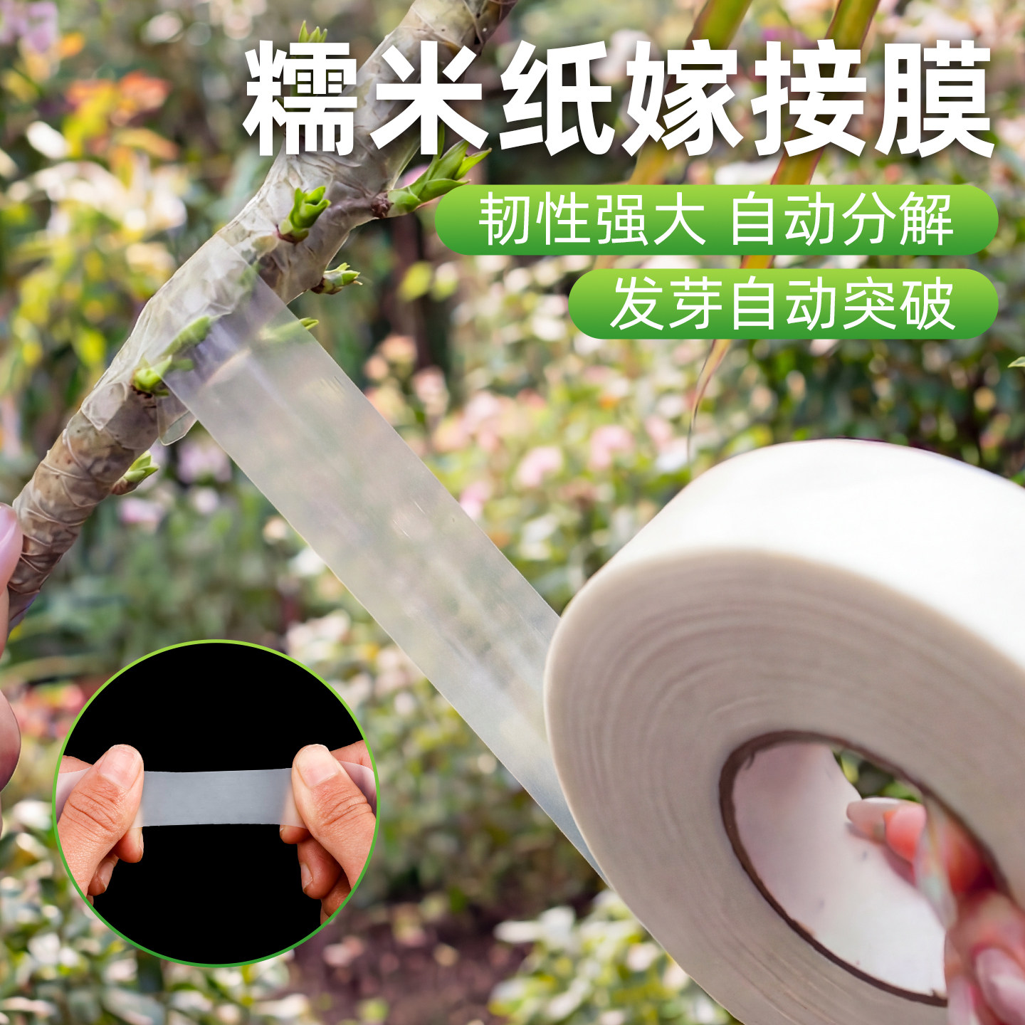 糯米纸嫁接膜月季蔷薇嫁接膜免拆可降解防水透气园艺专用自粘绑带,农机/农具/农膜,果树嫁接膜,淘宝优惠券,粉丝福利购,淘宝优惠卷