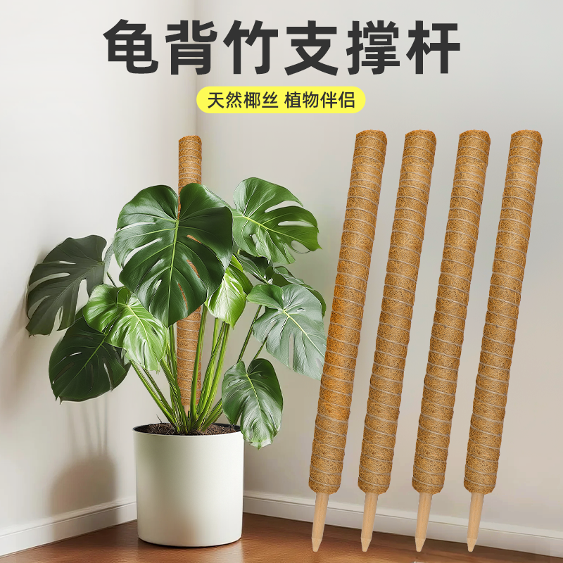 龟背竹支撑杆椰棕棒绿萝攀爬柱爬藤植物棕榈架花架固定架苔藓椰丝,鲜花速递/花卉仿真/绿植园艺,其它园艺用品,淘宝优惠券,粉丝福利购,淘宝优惠卷