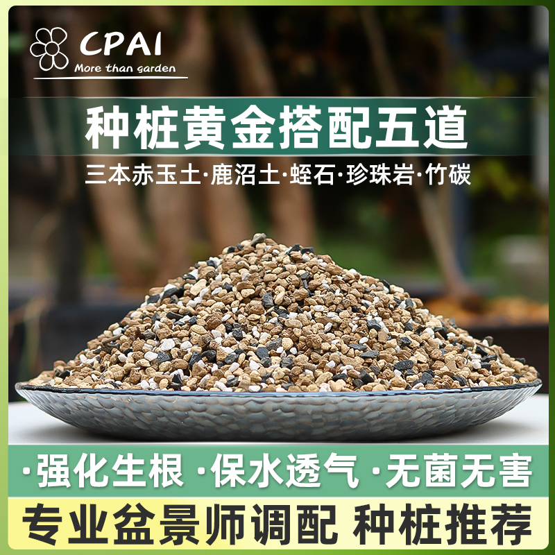 CPAI定制盆景种植生桩老桩专用土