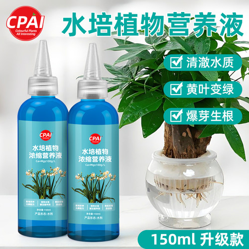 水培植物营养液改善黄叶净化水质