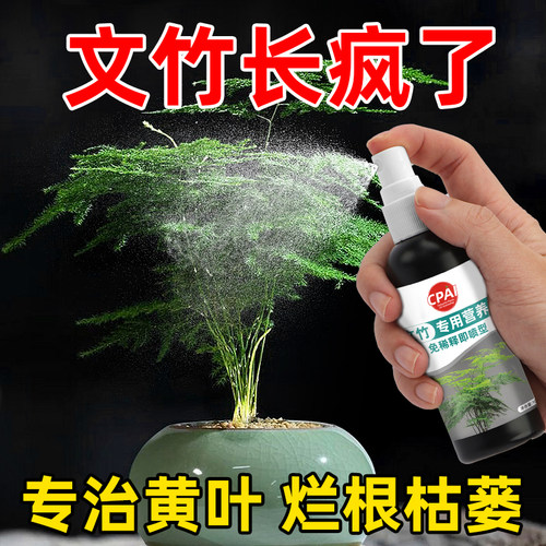 治黄叶室内花卉通用型文竹营养液