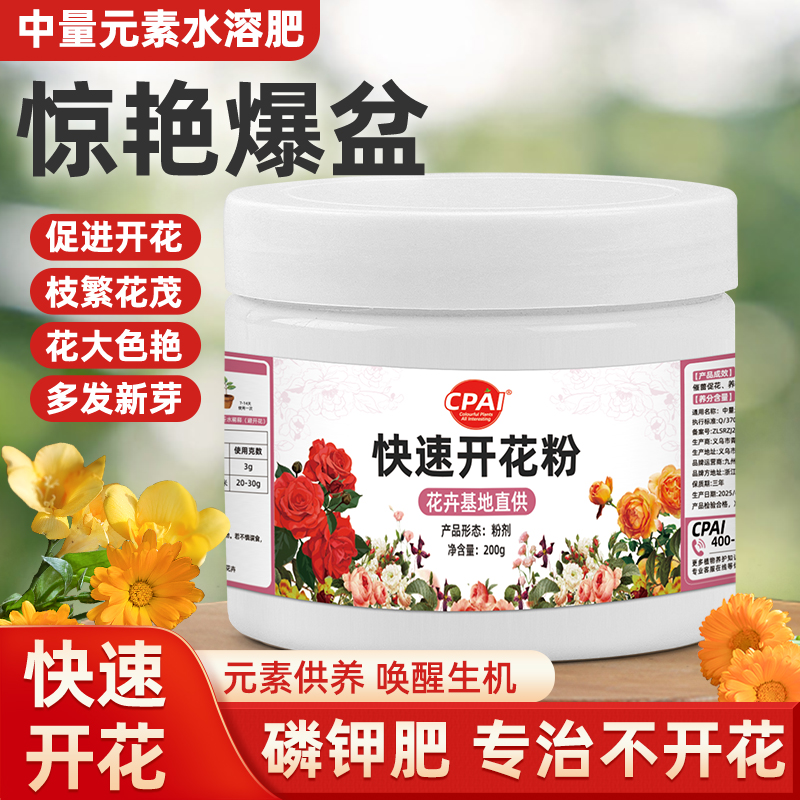 三角梅快速开花粉植物盆栽营养肥