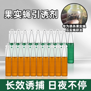 果实蝇引诱剂果园菜园针峰诱捕器诱粘剂灭杀专用果蝇药水昆虫克星
