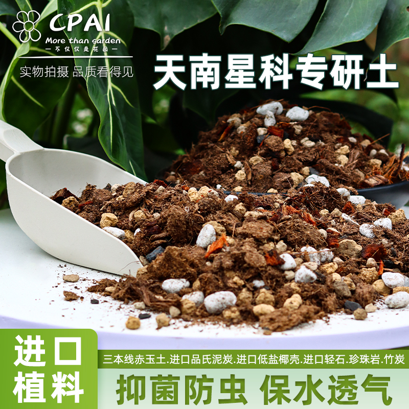 天南星科营养土科学配比进口植料