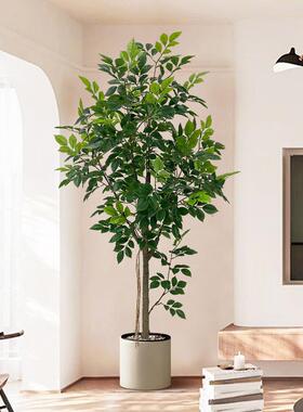模拟绿色植物快乐树室内盆栽大型彷生植物假树可达豪华客厅装饰地