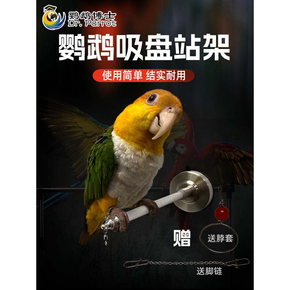 鹦鹉空气吸盘突出汽车玻璃支架爪磨棒脚炼颈套浴训练鸟支架