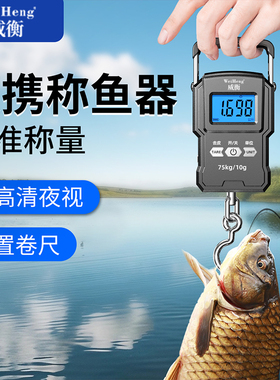 高精度迷你手提电子秤75kg便携式家用快递称小秤称重弹簧称鱼器