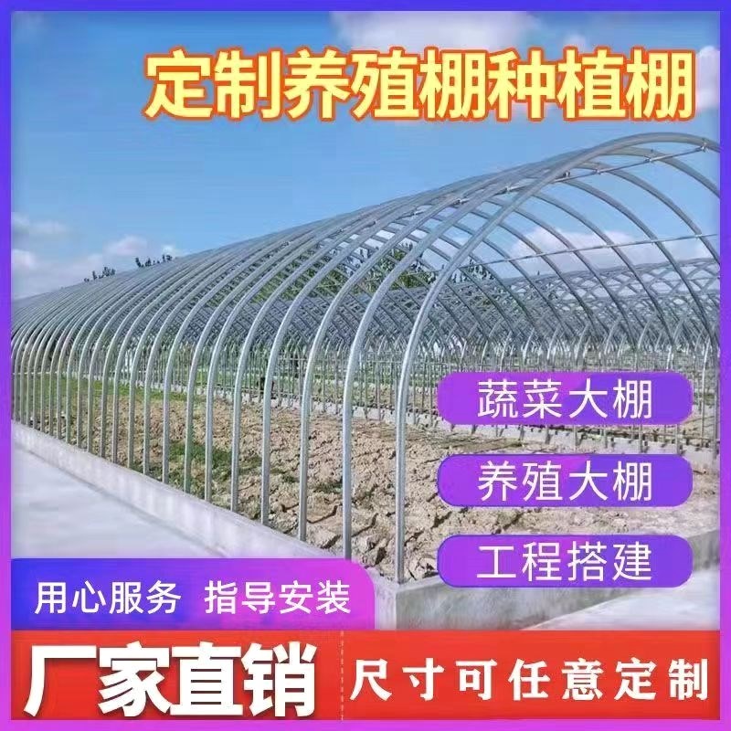 热销蔬菜种植育苗大棚温室养殖大棚骨架全套保温养鸡W鸭鹅猪牛羊