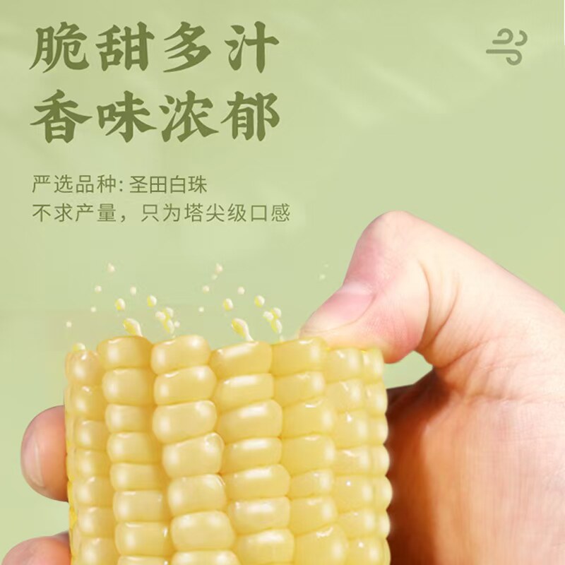版纳云上良品圣甜白珠水果玉米2025年代餐玉米轻食脆嫩香甜玉米段