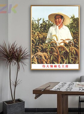 毛主席像画像毛爷爷在河南农村视察墙画中堂客厅壁挂玄关装饰挂c4