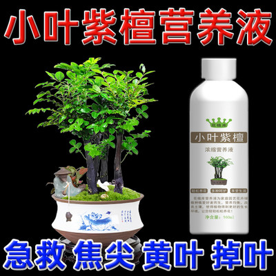 花植库小叶紫檀叶子发黄干枯掉叶专用营养液盆景黄叶发黑肥料专用