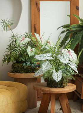 采购产品花样马蹄莲叶片，模拟热带绿色植物，叶片，壁龛插花，入